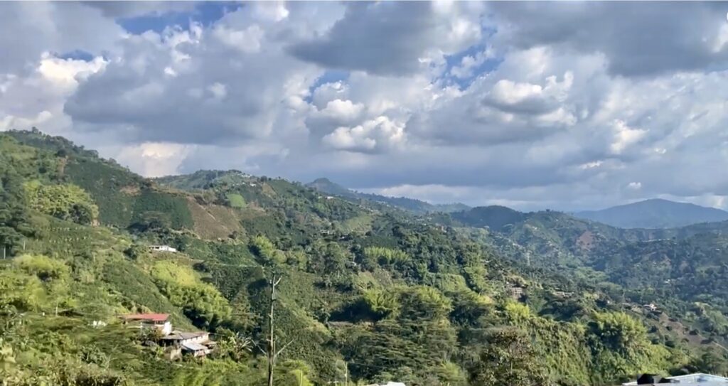 Coffee region Colombia