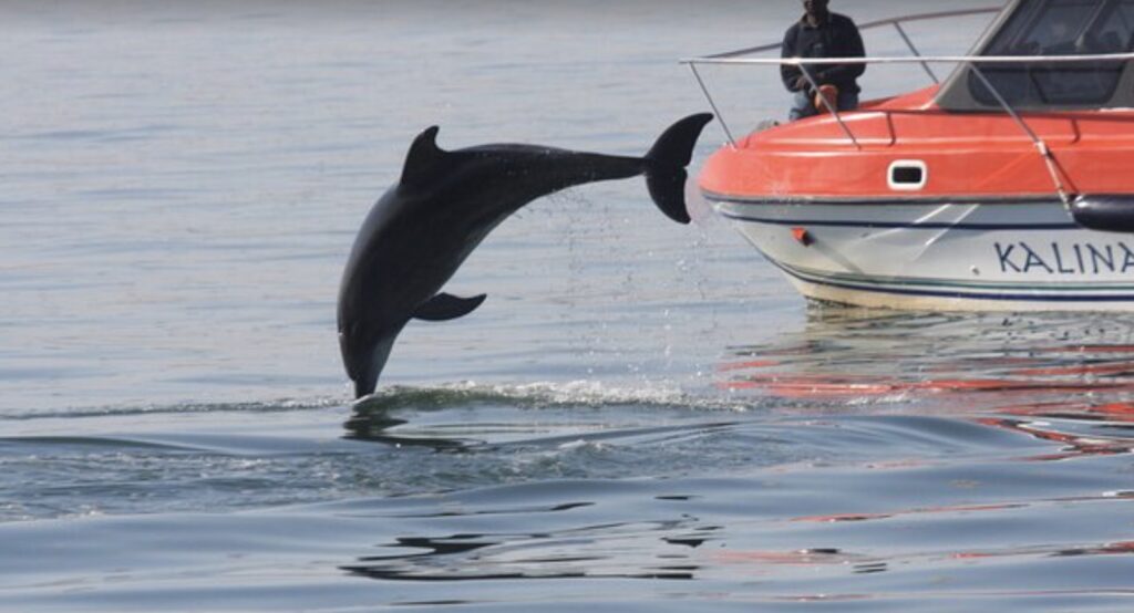 Walvis Bay