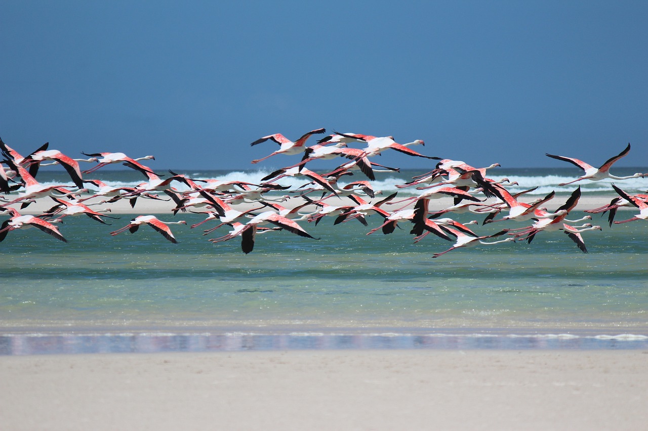 Walvis Bay