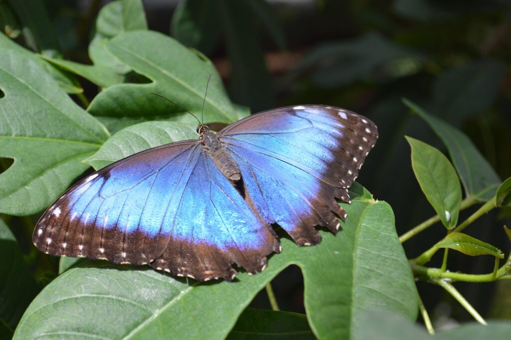 Costa Rica holiday